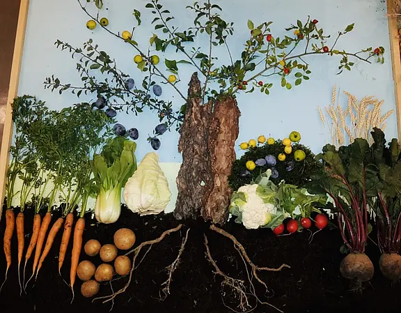 Eine kreative Anordnung von Gemüse und Obst, die ein Baumdesign darstellt. Rings um den Baum sind Karotten, Kartoffeln, Radieschen, Kohl, Rote Bete und verschiedene Früchte wie Äpfel und Pflaumen platziert, alles auf einer dunklen Erde basierend.