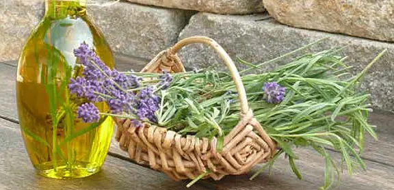 Glasflasche mit goldenem Öl neben kleinem Weidenkorb, gefüllt mit frischen Lavendelzweigen und violetten Blüten.