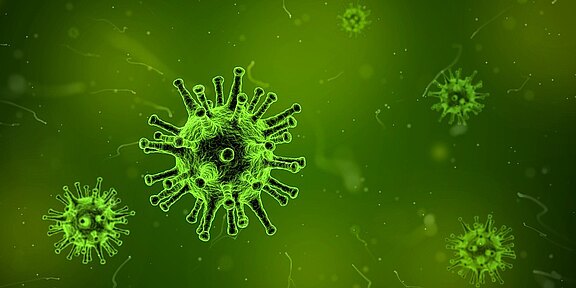 Illustration eines Virus unter dem Mikroskop: grüne, kugelige Partikel mit stachelartigen Ausläufern auf grünem Hintergrund, ein großes Partikel im Vordergrund, kleinere im Hintergrund.