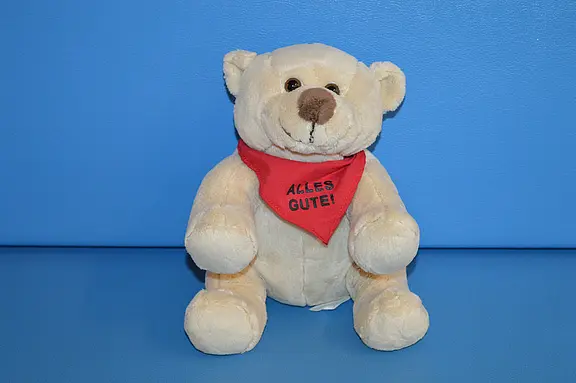 Beiger Plüsch-Teddybär sitzt frontal vor blauem Hintergrund und trägt ein rotes Halstuch mit der Aufschrift „ALLES GUTE!“.