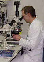 Person im weißen Laborkittel sitzt an einem Labortisch und schaut durch ein Mikroskop, um eine Probe zu untersuchen. Schwerpunkt: wissenschaftliche Arbeit im Labor.