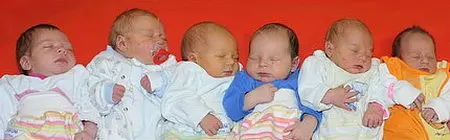 Sechs Neugeborene liegen nebeneinander auf einer einfarbigen Unterlage. Jedes Baby trägt unterschiedliche farbige Kleidung und sieht ruhig und schlafend aus. Die insgesamt sanfte Atmosphäre vermittelt einen Eindruck von Geborgenheit und Neuanfang.