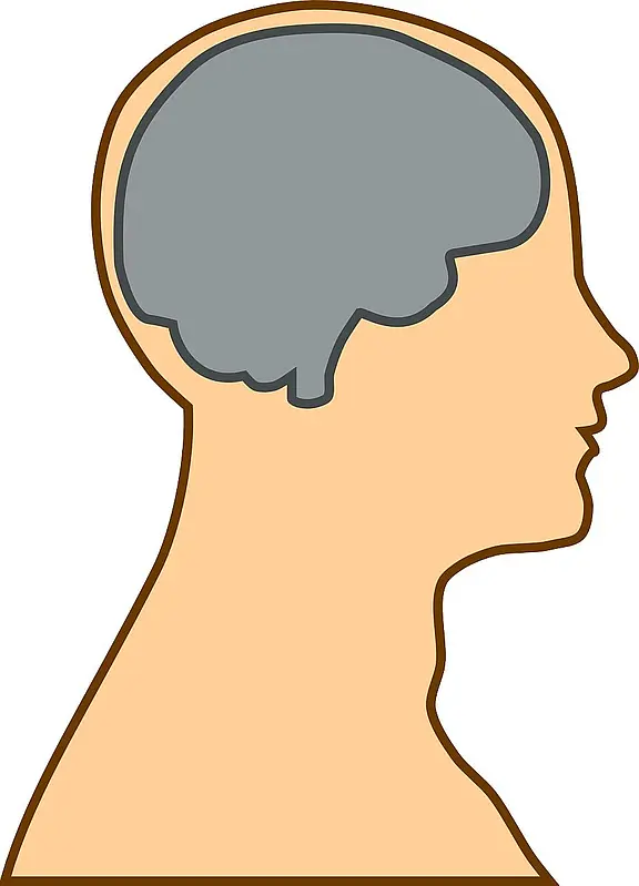 Eine seitliche Darstellung eines Kopfes, in dem das Gehirn grafisch hervorgehoben ist. Der Kopf hat eine helle Hautfarbe und ist umrandet. Das Gehirn ist in Grautönen dargestellt. Die Illustration symbolisiert die Beziehung zwischen Körper und Geist.
