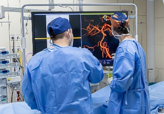 Zwei Ärzte in blauen OP-Kitteln stehen vor einem Bildschirm, auf dem komplexe grafische Darstellungen von Blutgefäßen zu sehen sind. Sie betrachten die Informationen aufmerksam, während sie sich in einem modernen Operationssaal befinden.