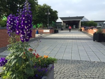 Blumenkübel mit lila Blüten im Vordergrund; gepflasterter Weg führt zu einem modernen Gebäudeeingang mit Überdachung; eine Person geht darauf zu.