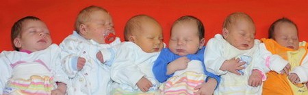 Sechs Neugeborene liegen nebeneinander auf einer einfarbigen Unterlage. Jedes Baby trägt unterschiedliche farbige Kleidung und sieht ruhig und schlafend aus. Die insgesamt sanfte Atmosphäre vermittelt einen Eindruck von Geborgenheit und Neuanfang.